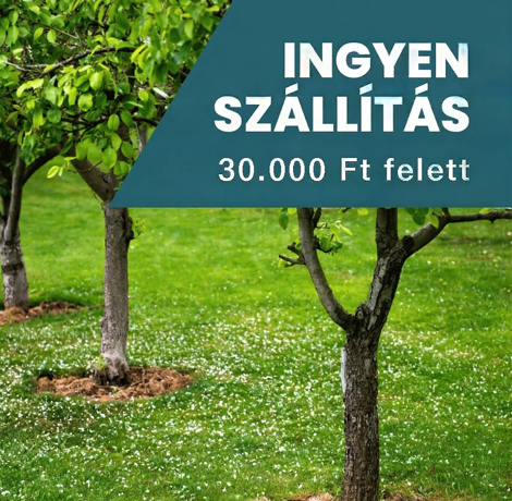 Ingyen szállítás 25.000 Ft felett