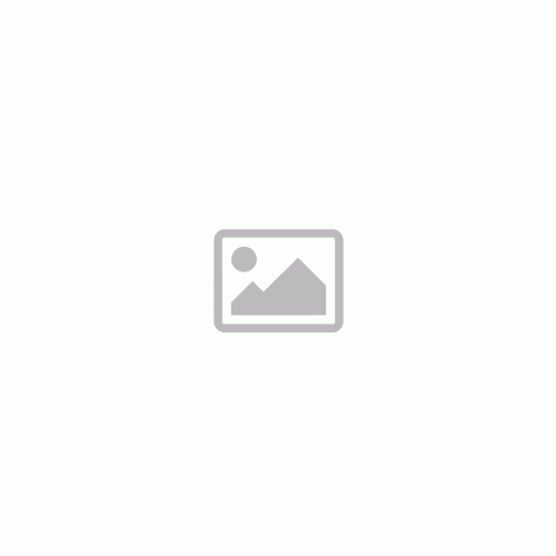 Örökzöld bangita - Viburnum tinus 'Eve Price' - Konténeres