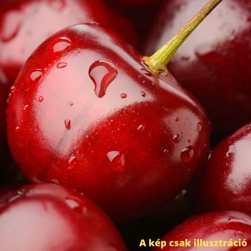 Nimba legkorábban érő cseresznye - Szabadgyökeres,Maxma 14 alanyon