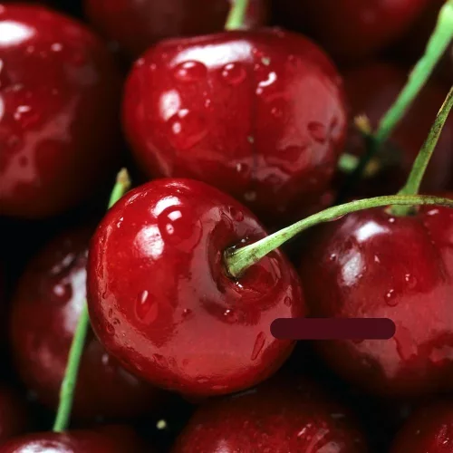 Péter cseresznye - Szabadgyökeres