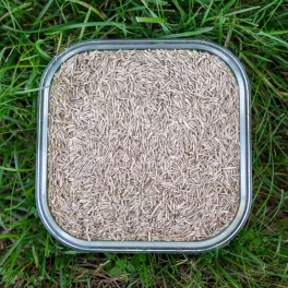   Prémium fűmagkeverék mikorrhíza szimbionta gombával (1 kg)