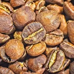 Arabica kávé - Konténeres