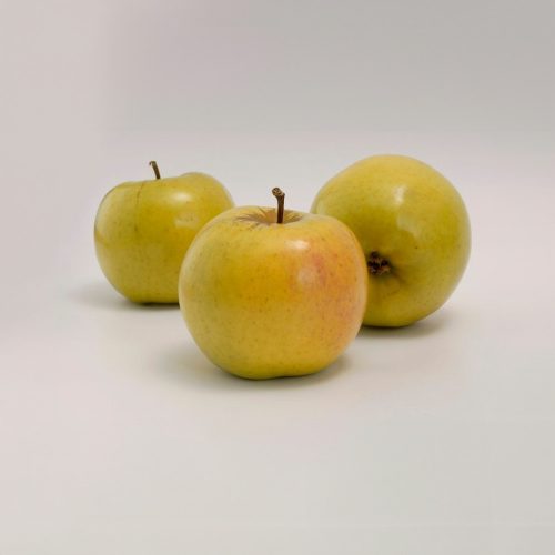 Sirius  Naturalma® rezisztens alma - Konténeres, MM106 alanyon