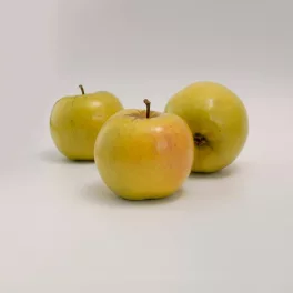   Sirius  Naturalma® rezisztens alma - Szabadgyökeres, MM106 alanyon
