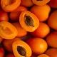 Velita kései kajszi szabadgyökeres oltvány termései a fán Velita kései kajszi (Prunus armeniaca 'Velita')