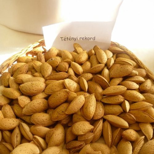 Tétényi rekord mandula - Szabadgyökeres, GF677 alanyon