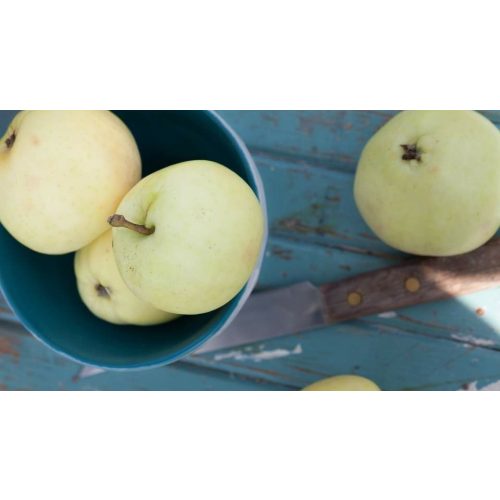 Fehér batul alma - Szabadgyökeres, MM106 alanyon