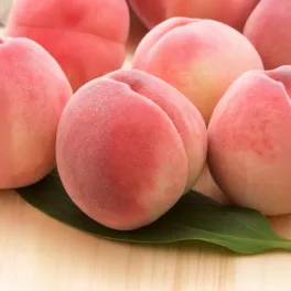   Royal Glory® Zaifer őszibarack - Szabadgyökeres, Krymsk 86 alanyon