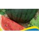 Rédei korai érésű görögdinnye magkeverék - Sugar baby (2g)