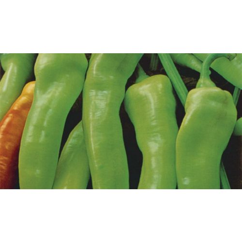 Rédei hegyes csípős paprika magkeverék - Palóc F1 (20 szem)