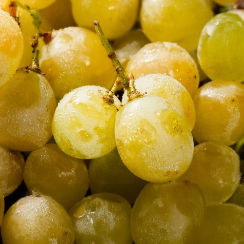 Helikon szépe magvatlan csemegeszőlő - Szabadgyökeres