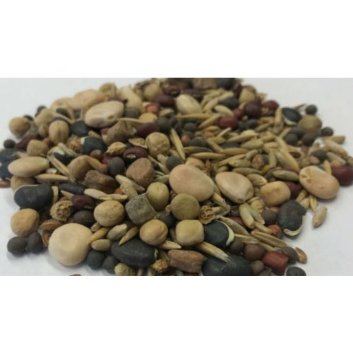 TillageMix - Botond takarónövény magkeverék (100 g) nyár végén vethető