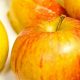 Cox narancs renet alma - Konténeres