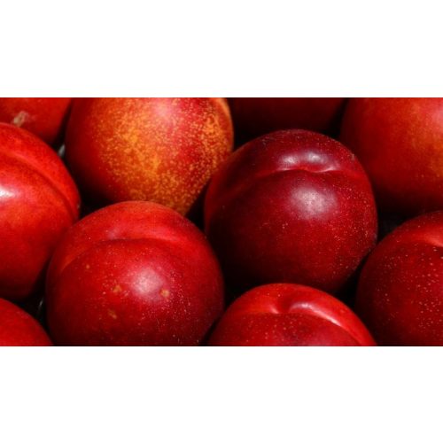 Crimson Gold nektarin - Konténeres