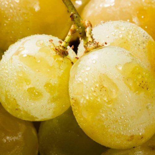 Helikon szépe magvatlan csemegeszőlő - Konténeres