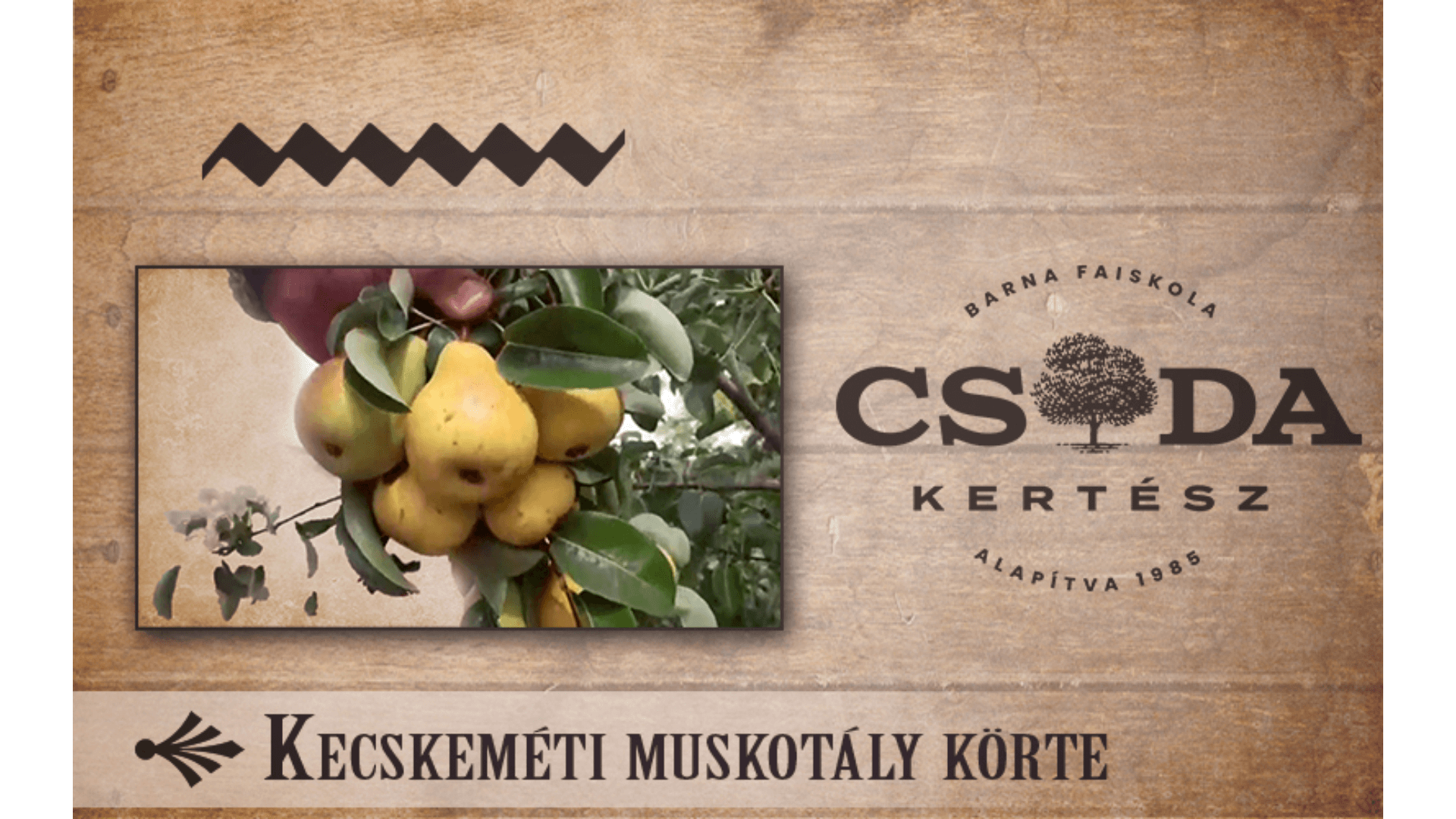 Kecskeméti muskotály körte